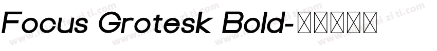 Focus Grotesk Bold字体转换